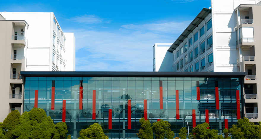 Untitled design 14 1